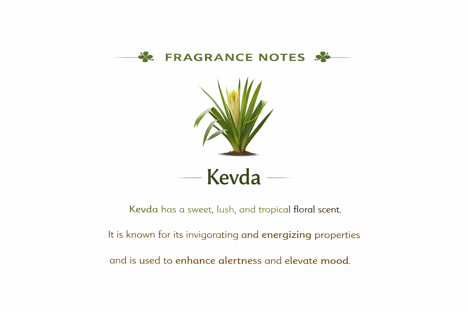Kevda incense fragrance notes — fresh green floral scent profile