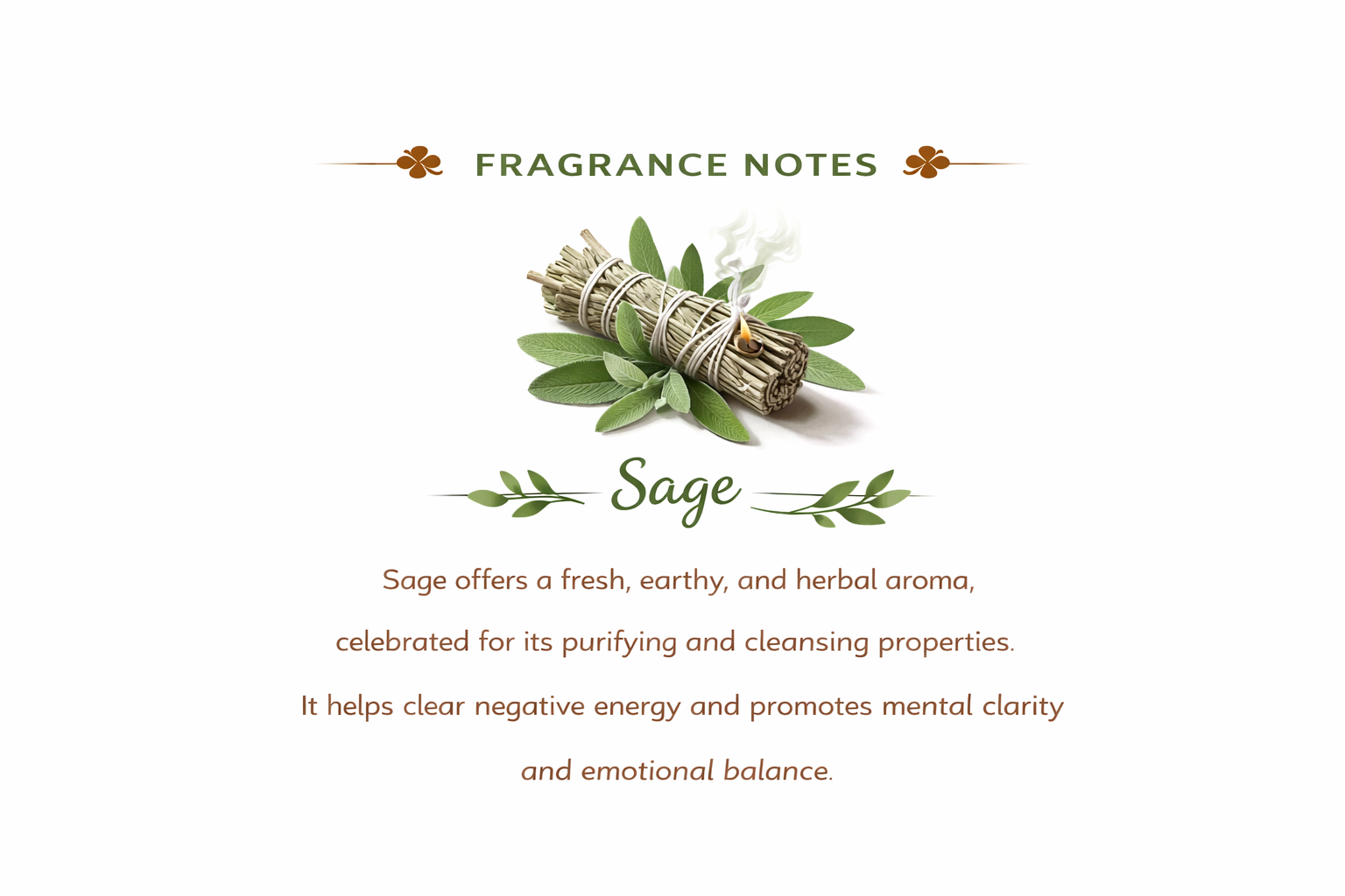 Sage fragrance note